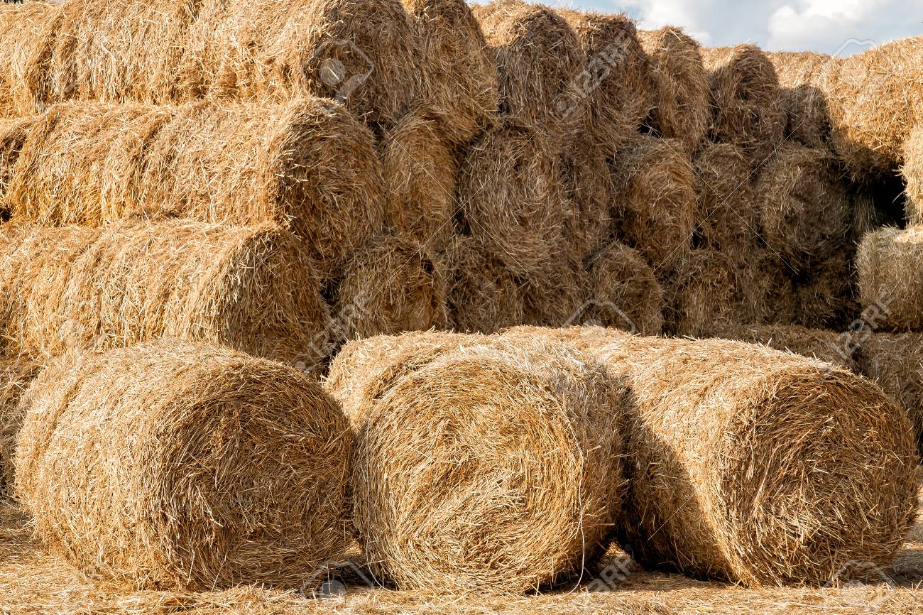 Storage of hay