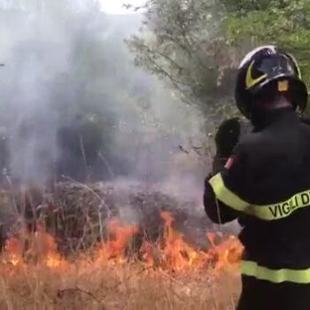 incendio sterpaglie