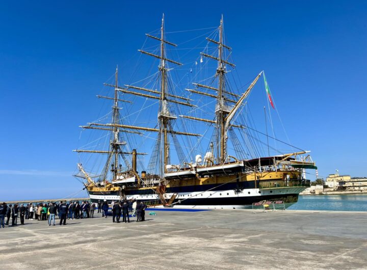 Amerigo Vespucci14
