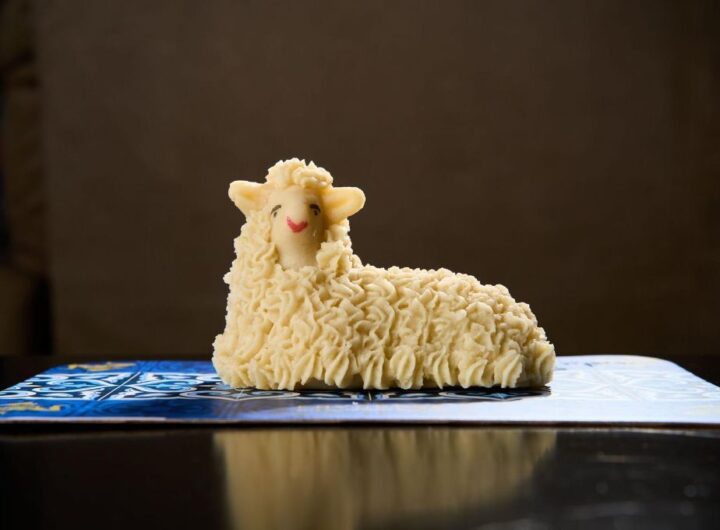 agnello pasquale