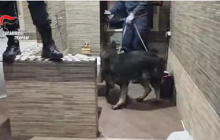 cane antidroga Ron