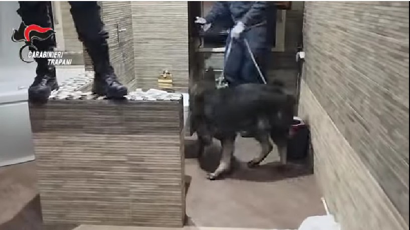 cane antidroga Ron
