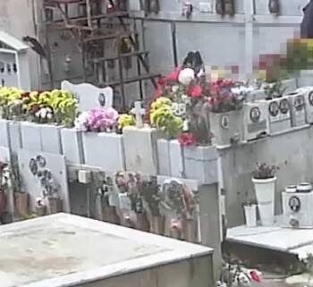 cimitero degli orrori