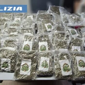 marijuana