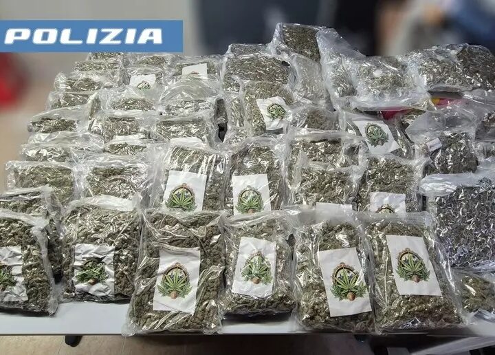 marijuana