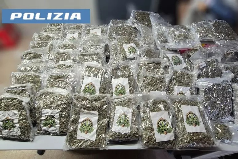 marijuana