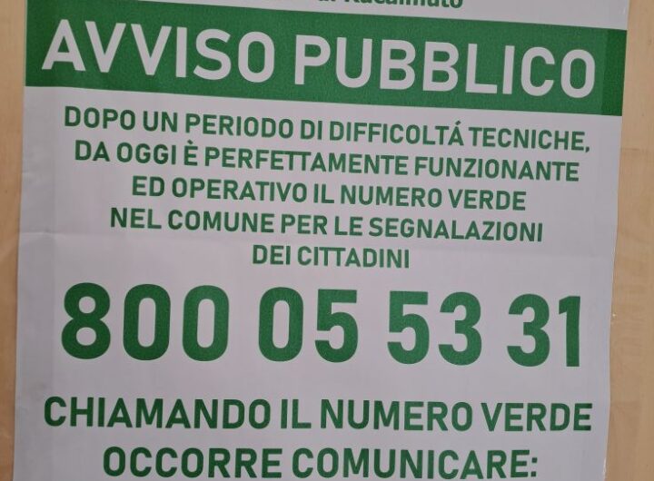 numero verde