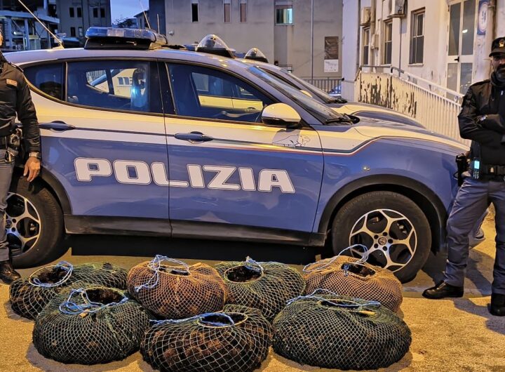polizia molluschi1