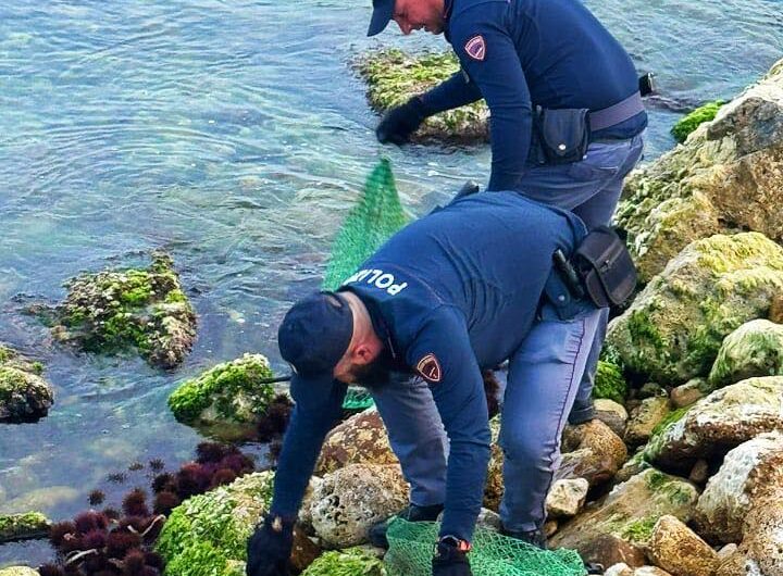 polizia ricci 1