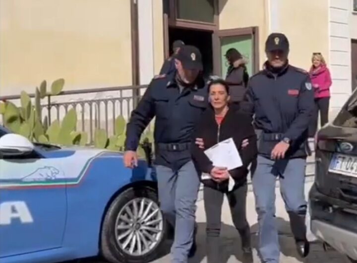 concetta marino