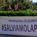salviamo la pesca